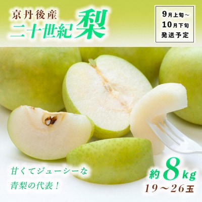甘～ぃ!ジューシー!青梨の代表 京丹後産二十世紀梨8kg(19～26玉)(2023年9月上旬～発送)
