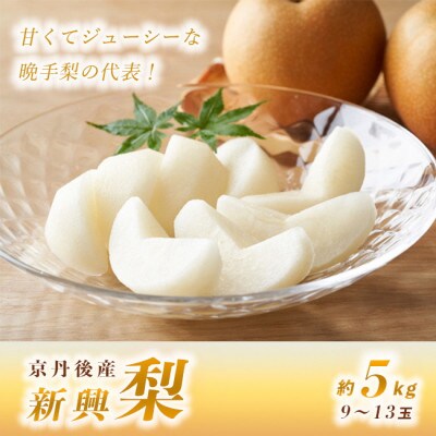 甘～ぃ!ジューシー!晩生梨の代表 京丹後産新興梨5kg(9～13玉)(2025年10月中旬～発送)