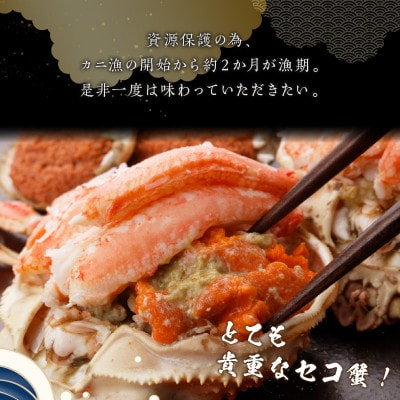 【先行予約】☆蟹の宝石箱☆【贅沢なカニの食べ比べ】ずわいがに&せいこがに甲羅盛 夫婦セットB