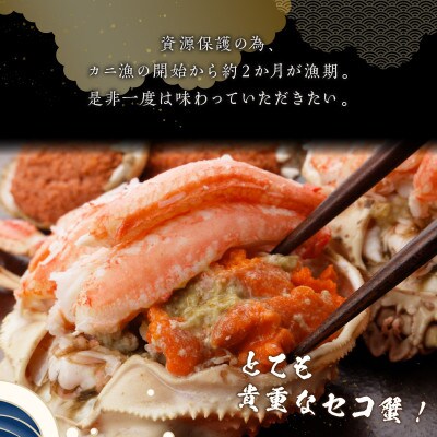 【先行予約】☆蟹の宝石箱☆【贅沢なカニの食べ比べ】ずわいがに&せいこがに甲羅盛 夫婦セットC