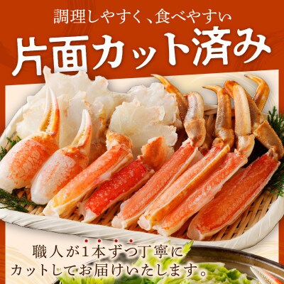 【生食可・蟹しゃぶ】高鮮度!お刺身でも食べられる!カット生ズワイガニ2肩分　冷凍