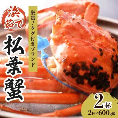 ズワイガニ 姿【厳選!タグ付きブランド蟹】茹で松葉かに(中)　浜茹でにてお届け! 600g級×2杯