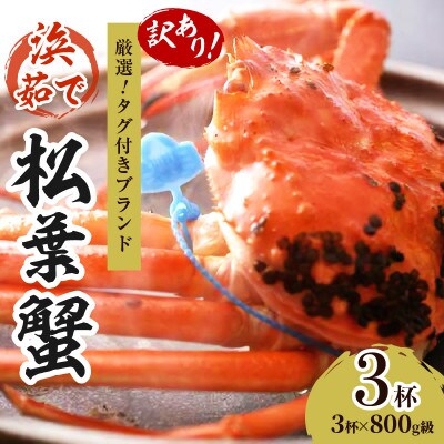 ズワイガニ 姿【訳あり!タグ付きブランド蟹】茹で松葉かに　浜茹でにてお届け! 800g級×3杯