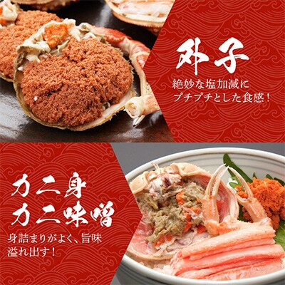 【期間エリア限定!】厳選!逸品! 釜茹で セイコ蟹10杯　冷蔵