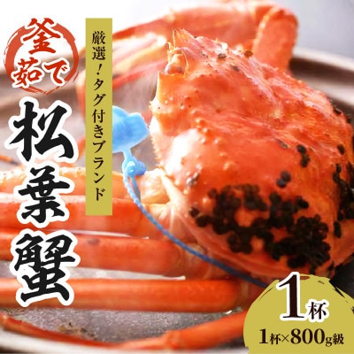 ズワイガニ【厳選!タグ付きブランド】茹で松葉かに 鮮度品質自慢!釜茹でにてお届け! 800g級×1杯