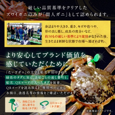ブランド蟹 訳あり!幻のズワイ蟹 京丹後産 茹で間人(たいざ)蟹 釜茹で!800g級 足1本落ち1杯