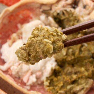 【幻のズワイ蟹】京丹後産 茹で間人(たいざ)蟹<中> 鮮度抜群、釜茹でにてお届け!600g級×1杯