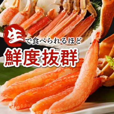 【2025年2月上旬発送】【蟹しゃぶ】高鮮度!お刺身でも食べられる!カット生ズワイガニ3肩　