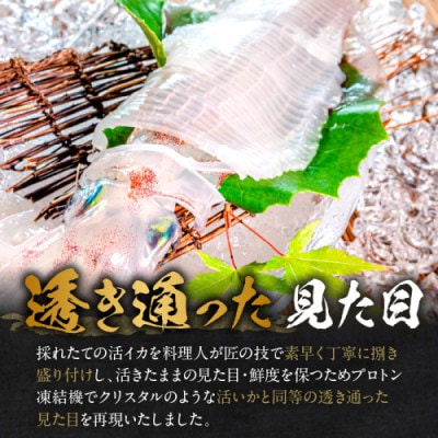 京丹後産『海の京都』の逸品!活白イカ姿造り(クリスタル白いか)中サイズ 2杯(200g前後) 冷凍