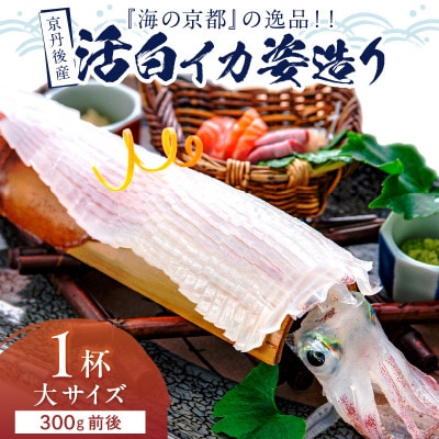 京丹後産『海の京都』の逸品!活白イカ姿造り(クリスタル白いか)大サイズ 1杯(300g前後) 冷凍