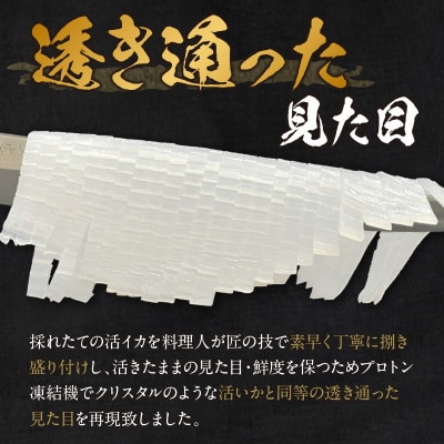 京丹後産『海の京都』の逸品!活白イカ姿造り(クリスタル白いか)大サイズ 1杯(300g前後) 冷凍