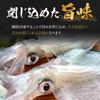 京丹後産『海の京都』の逸品!活白イカ姿造り(クリスタル白いか)大サイズ 1杯(300g前後) 冷凍