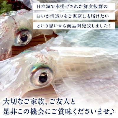 京丹後産『海の京都』の逸品!活白イカ姿造り(クリスタル白いか)大サイズ 1杯(300g前後) 冷凍
