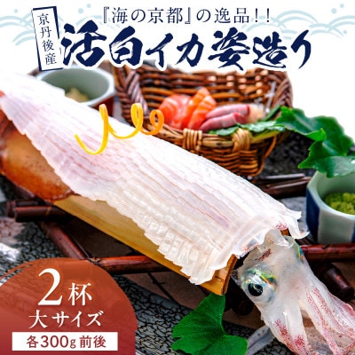 京丹後産『海の京都』の逸品!活白イカ姿造り(クリスタル白いか)大サイズ 2杯(300g前後) 冷凍