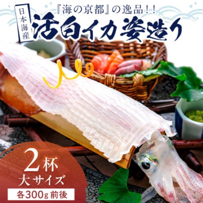 日本海産『海の京都』の逸品!活白イカ姿造り(クリスタル白いか)大サイズ 2杯(300g前後) 冷凍