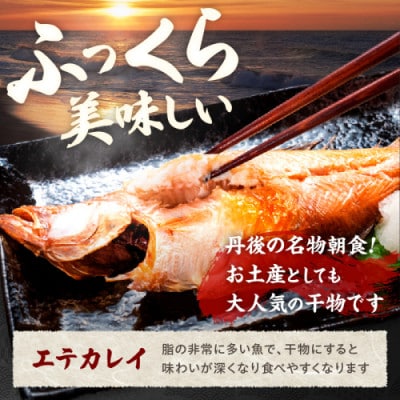 【店主一押し!絶品干物!高リピート!】エテカレイ一夜干し干物セット 中サイズ(朝食サイズ)12枚