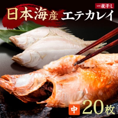 【店主一押し!絶品干物!高リピート!】エテカレイ一夜干し干物セット 中サイズ(朝食サイズ)20枚