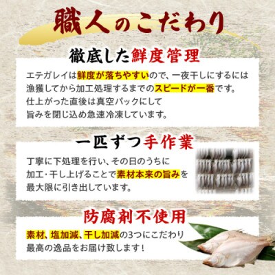 【先行予約/店主一押し!絶品干物!高リピート!】エテカレイ一夜干し干物セット 大(夕食サイズ)10枚