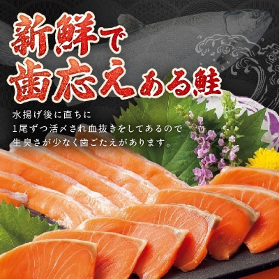 【数量限定100】絶品!お手軽!骨抜き!日本海産 サーモンフィーレ 約1.3kg