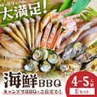 大満足!京丹後・海鮮BBQ　Eセット　豪華盛り合わせ　生ズワイガニ付　6種21品(4～5人前)