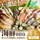 大満足!京丹後・海鮮BBQ　Fセット　豪華盛り合わせ生ズワイガニ アワビ付 7種23品(4～5人前)