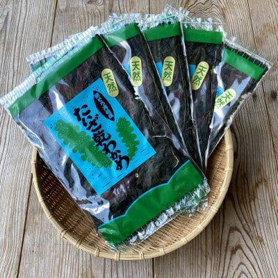 【先行予約】お土産人気商品!京丹後産 天然間人わかめ 20g×5袋(2025年6月上旬～発送)