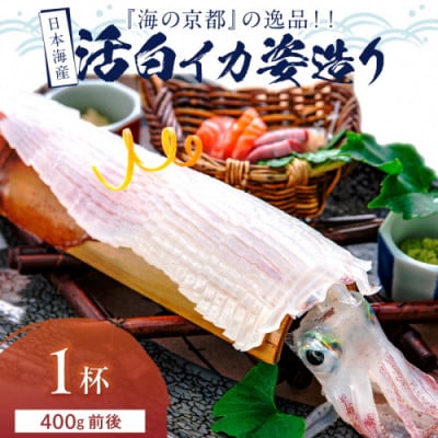 日本海産『海の京都』の逸品!活白イカ姿造り(クリスタル白いか)大大サイズ 1杯(400g前後) 冷凍