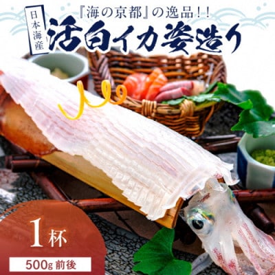 日本海産『海の京都』の逸品!活白イカ姿造り(クリスタル白いか)大大大サイズ 1杯(500g前後)冷凍