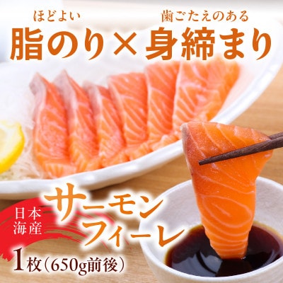 日本海産 サーモンフィーレ 約650g + 甘えび むき身 20尾×1パック 刺身用