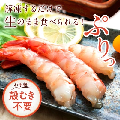 甘ーい!お手軽!日本海産 甘えび 冷凍 むき身 20尾×1パック 刺身用 殻むき不要で食べやすい