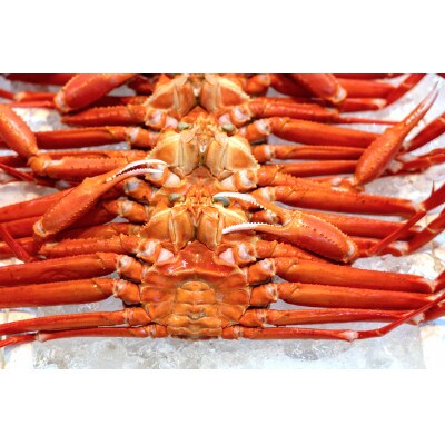 お手軽!絶品!プレミアム紅ズワイガニ甲羅盛　約180g×2個