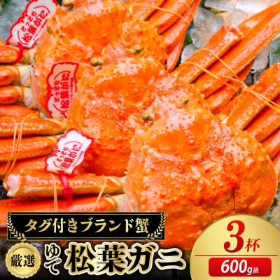 ズワイガニ 姿【厳選!タグ付きブランド蟹】茹で松葉かに 600g級×3杯