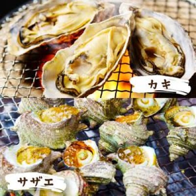 大人気!京丹後産・牡蠣とサザエのBBQセット　各16個(4～5人前)