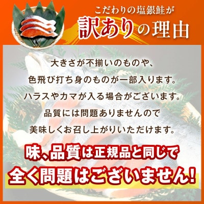 【訳あり・不揃い】お手軽!絶品!厚切り 塩銀鮭切身 (プロトン凍結)約1kg　肉厚なさけの切身