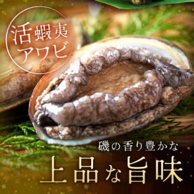 やわらか!絶品!アワビ酒蒸し 3枚入り 約90g×3枚 冷凍 蝦夷あわびをどうぞ
