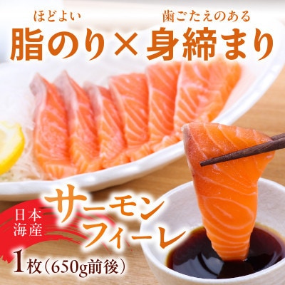 日本海産 サーモンフィーレ 約650g + 甘えび むき身 20尾×2パック 刺身用