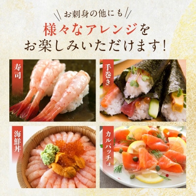 日本海産 サーモンフィーレ 約650g + 甘えび むき身 20尾×2パック 刺身用