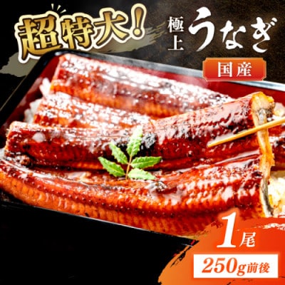 【旨味がじゅわ～!圧倒的な存在感】国産うなぎ蒲焼 1尾 250g前後　プレミアムな一尾、食卓の主役に
