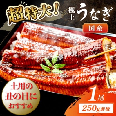 【7月下旬より順次発送】国産うなぎ蒲焼 1尾 250g前後