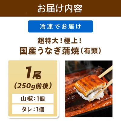【7月下旬より順次発送】国産うなぎ蒲焼 1尾 250g前後