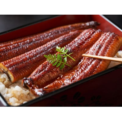 【旨味がじゅわ～!圧倒的な存在感】国産うなぎ蒲焼 2尾 合計500g前後　ふっくらおいしいウナギ