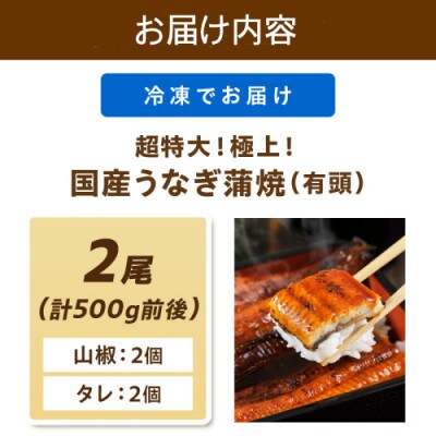 【7月中旬より順次発送】極上!国産うなぎ蒲焼 2尾 合計500g前後