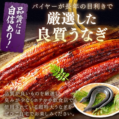 ふっくら肉厚!食べ応え抜群!うなぎ蒲焼 1尾 400g前後