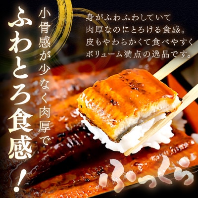 ふっくら肉厚!食べ応え抜群!うなぎ蒲焼 1尾 400g前後