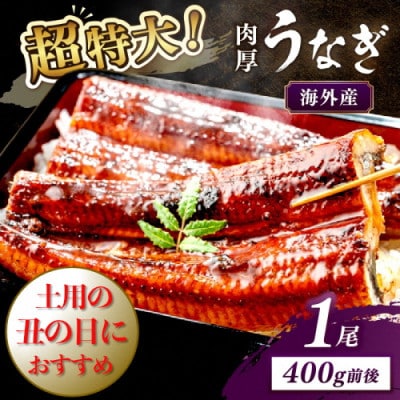 【7月下旬より順次発送】超特大!ふっくら肉厚!うなぎ蒲焼 1尾 400g前後