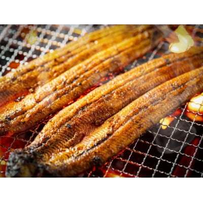 【7月下旬より順次発送】超特大!ふっくら肉厚!うなぎ蒲焼 1尾 400g前後