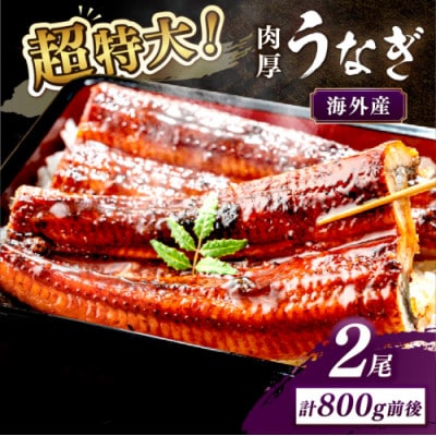 ふっくら肉厚!うなぎ蒲焼 2尾 合計800g前後　鰻でうな丼やうまきにも