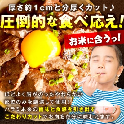 レビューキャンペーン!【訳あり】牛ハラミ秘伝のタレ込み 味付け肉 600g(300g×2パック)