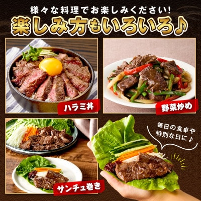 【訳あり】牛ハラミ秘伝のタレ込み 味付け肉 600g(300g×2パック)