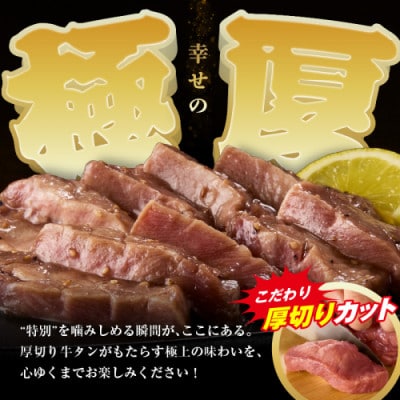 【さとふる限定】訳あり 牛ハラミ(サガリ)秘伝のタレ 味付け肉&やわらか厚切り 塩だれ牛タン食べ比べ